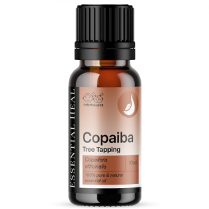 39046763 copaiba tree tapping Essentialheal1.png