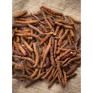 Tiens Cordycafe Robuszta 3in1 por 12 tasakx16 g 2.webp