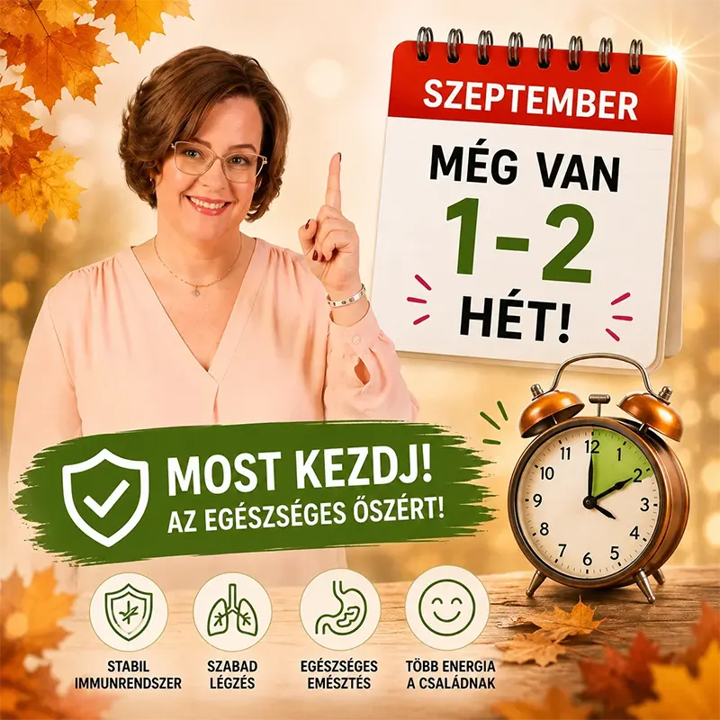 Bevezetés a Gyerek Nátha Mentes Életbe ingyenes ONLINE Előadás szeptember2