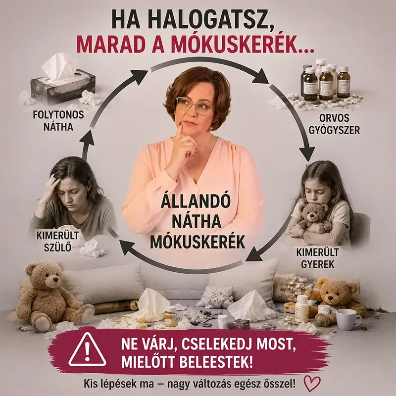 Bevezetés a Gyerek Nátha Mentes Életbe ingyenes ONLINE Előadás szeptember3